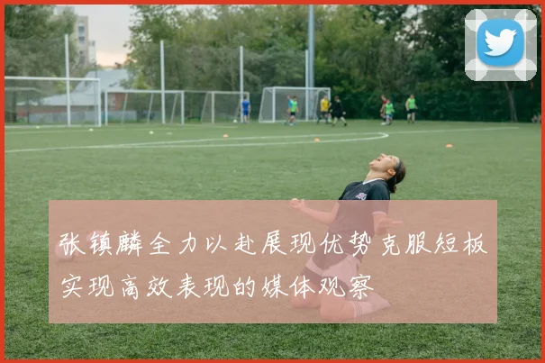 张镇麟全力以赴展现优势克服短板实现高效表现的媒体观察