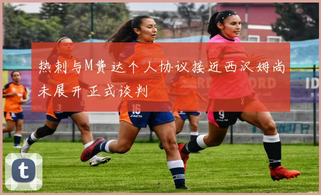 热刺与M费达个人协议接近西汉姆尚未展开正式谈判