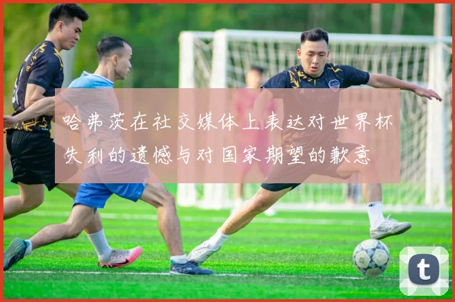 哈弗茨在社交媒体上表达对世界杯失利的遗憾与对国家期望的歉意